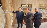 بازدید معاون وزیر صمت از نمایشگاه دائمی دستاوردهای صنایع کوچک و دفاتر مشاورین مرکز خدمات فناوری و کسب و کار در شهرک صنعتی کاسپین
