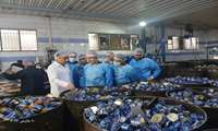 بازدید معاون وزیر صمت از واحدهای تولیدی مواد غذایی در شهرک صنعتی پایتخت/استمرار تولید و پایداری زنجیره تامین کالاهای ضروری مردم