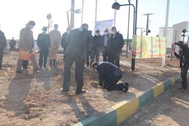 طی مراسمی در شهرک نو آوران زنجان تعداد  درخت غرص شد 