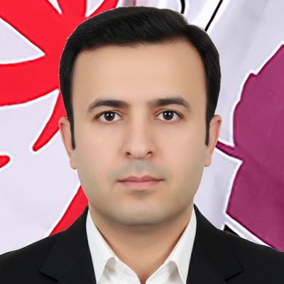 محسن ضامن فر